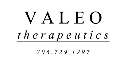 valeo logo 2 copy
