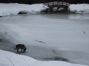 <untitled> 1 (1)